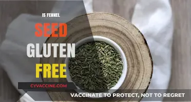 Is Fennel Seed Gluten-Free? A Comprehensive Guide for Celiacs