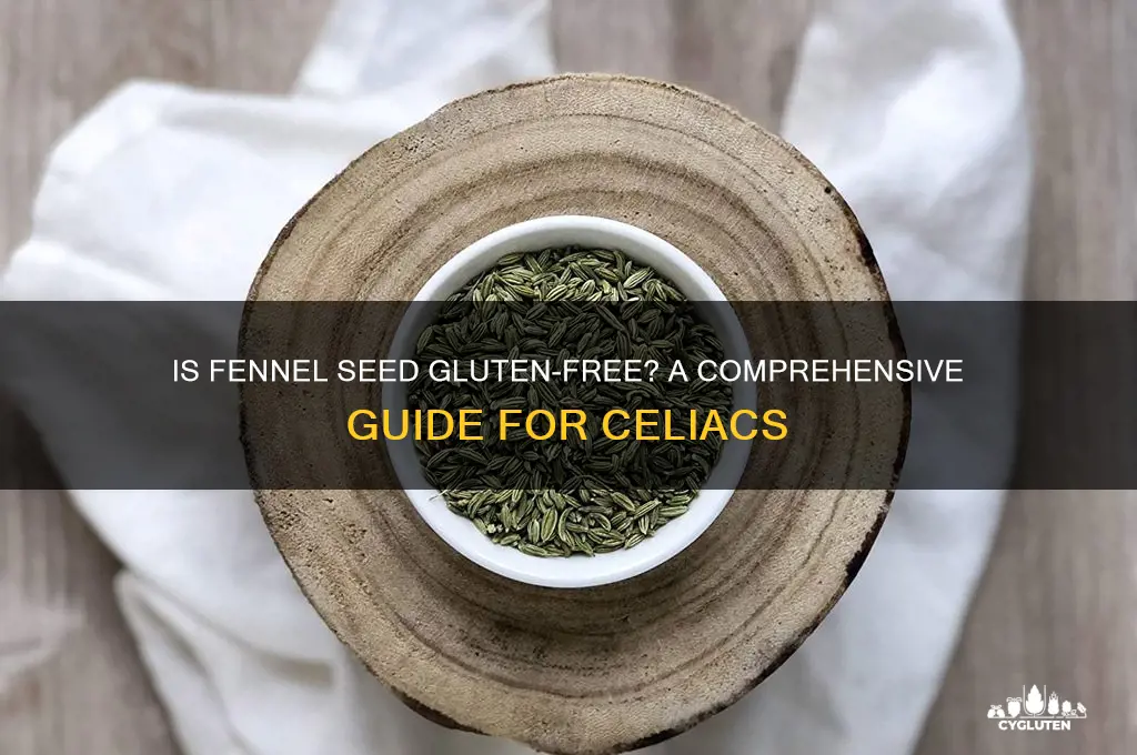is fennel seed gluten free