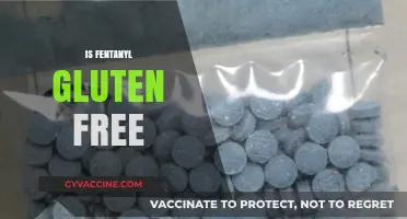 Is Fentanyl Gluten-Free? Exploring the Facts and Misconceptions