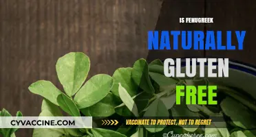 Is Fenugreek Naturally Gluten-Free? A Comprehensive Guide for Celiacs