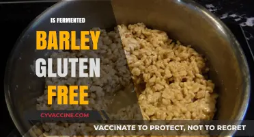 Is Fermented Barley Gluten-Free? Unraveling the Truth for Celiacs