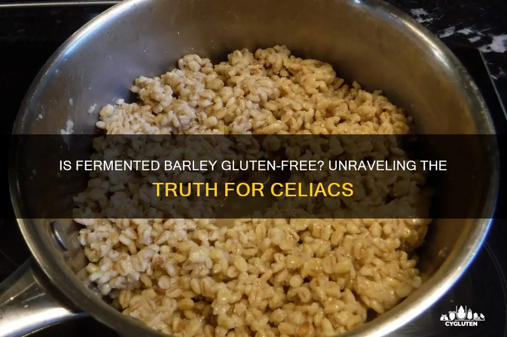 is fermented barley gluten free