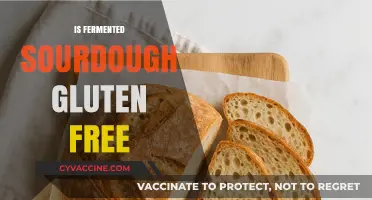 Is Fermented Sourdough Gluten-Free? Unraveling the Myth and Facts