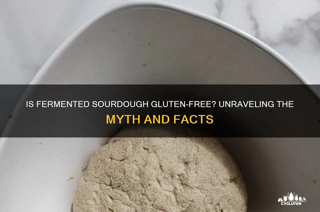 is fermented sourdough gluten free