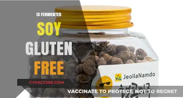 Is Fermented Soy Gluten-Free? Unraveling the Facts for Your Diet