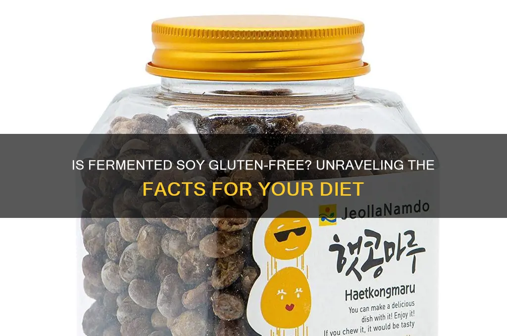 is fermented soy gluten free