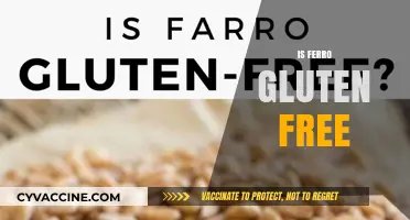 Is Ferro Gluten Free? Unraveling the Truth for Celiac Diets
