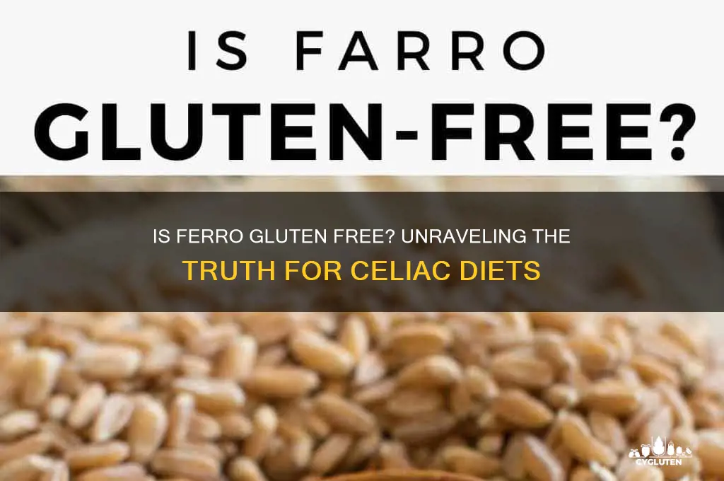 is ferro gluten free