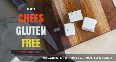 Is Feta Cheese Gluten-Free? A Complete Guide for Cheese Lovers