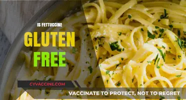 Is Fettuccine Gluten-Free? Exploring Pasta Options for Celiac Diets