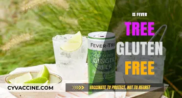 Is Fever-Tree Gluten-Free? A Comprehensive Guide to Your Mixer Choice