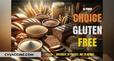 Is Fiber Choice Gluten-Free? A Comprehensive Guide to Your Diet