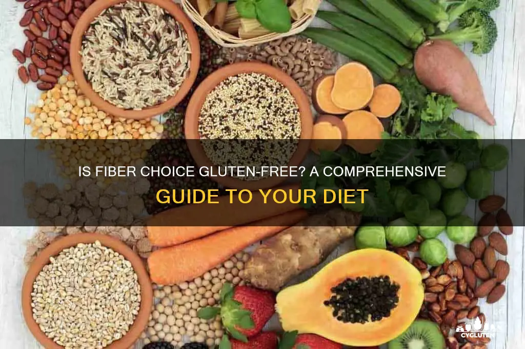 is fiber choice gluten free