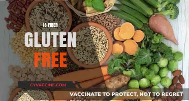 Is Fiber Gluten-Free? Unraveling the Truth for a Healthy Diet