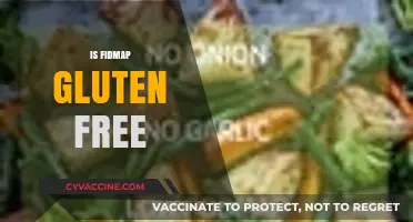 Is Fidmap Gluten Free? Unraveling the Facts for a Healthy Diet