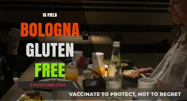 Is Field Bologna Gluten-Free? A Comprehensive Guide for Dietary Needs