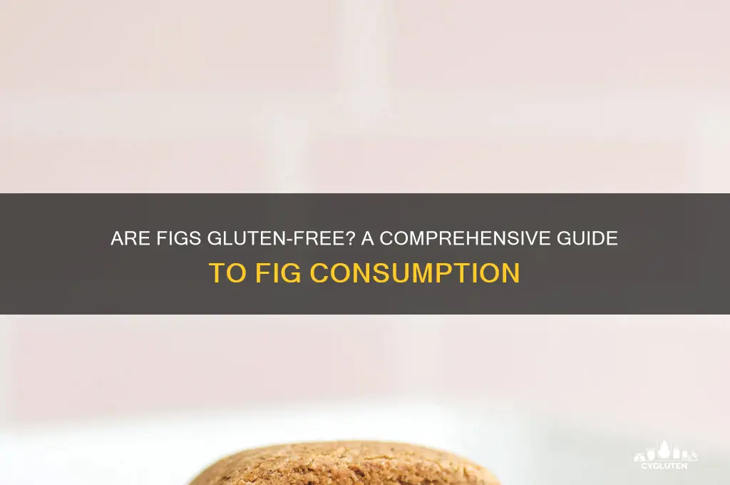 is fig gluten free
