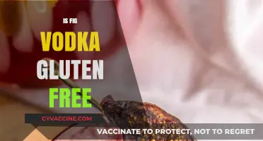 Is Fig Vodka Gluten-Free? A Guide to Safe Drinking Choices