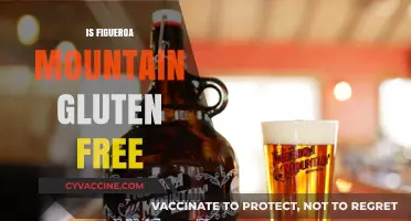 Is Figueroa Mountain Brewing's Beer Gluten-Free? A Detailed Review