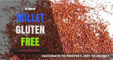 Is Finger Millet Gluten-Free? Uncovering the Truth for Celiac Diets