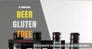 Is Finnegans Beer Gluten-Free? A Detailed Look at Ingredients