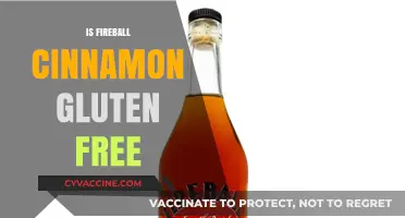 Is Fireball Cinnamon Whiskey Gluten-Free? Facts You Need to Know