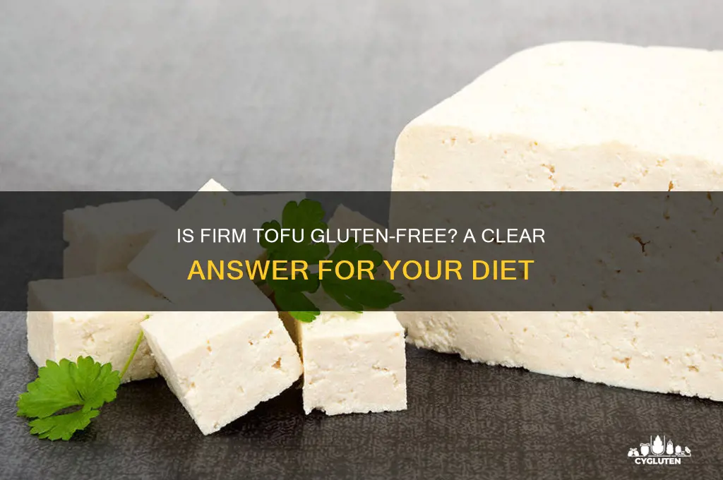 is firm tofu gluten free