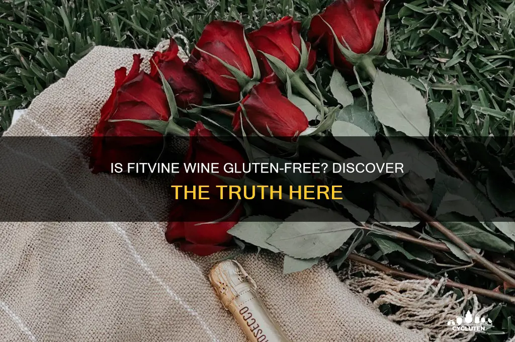 is fitvine wine gluten free