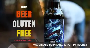 Is Fitz Beer Gluten-Free? A Complete Guide for Beer Lovers