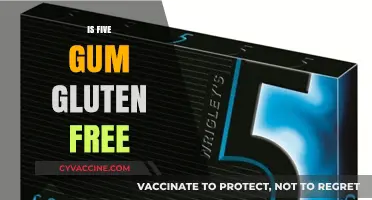 Is Five Gum Gluten-Free? A Comprehensive Guide for Chewers