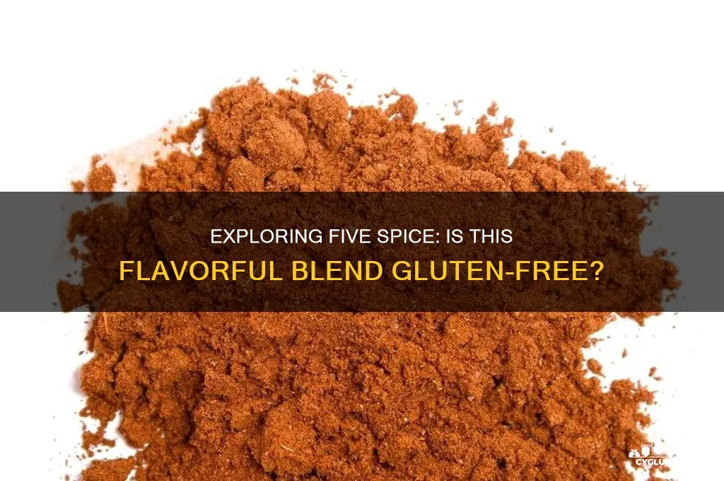 is five spice gluten free