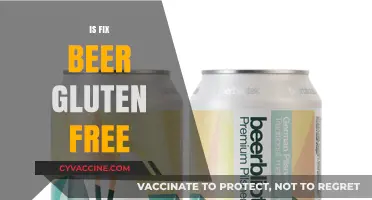 Is Fix Beer Gluten-Free? Exploring Celiac-Friendly Craft Beer Options