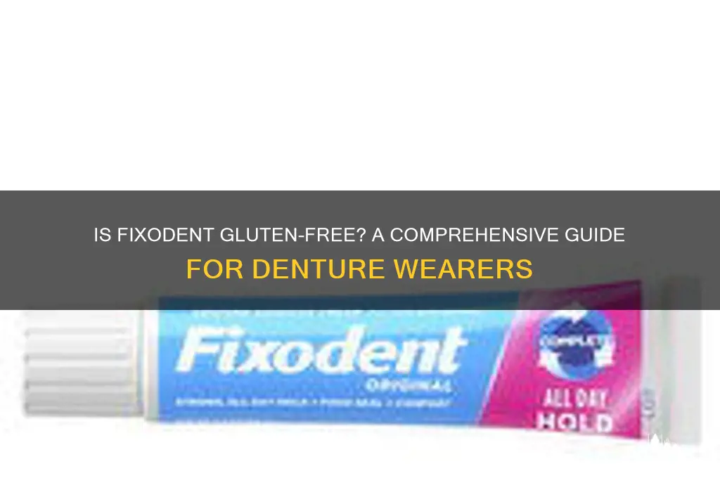 is fixodent gluten free