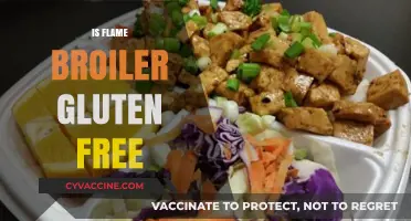 Is Flame Broiler Gluten-Free? A Complete Guide to Safe Dining