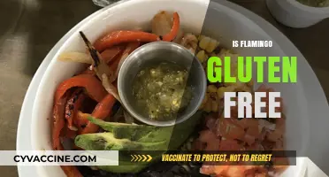 Is Flamingo Gluten-Free? Exploring Ingredients and Dietary Safety