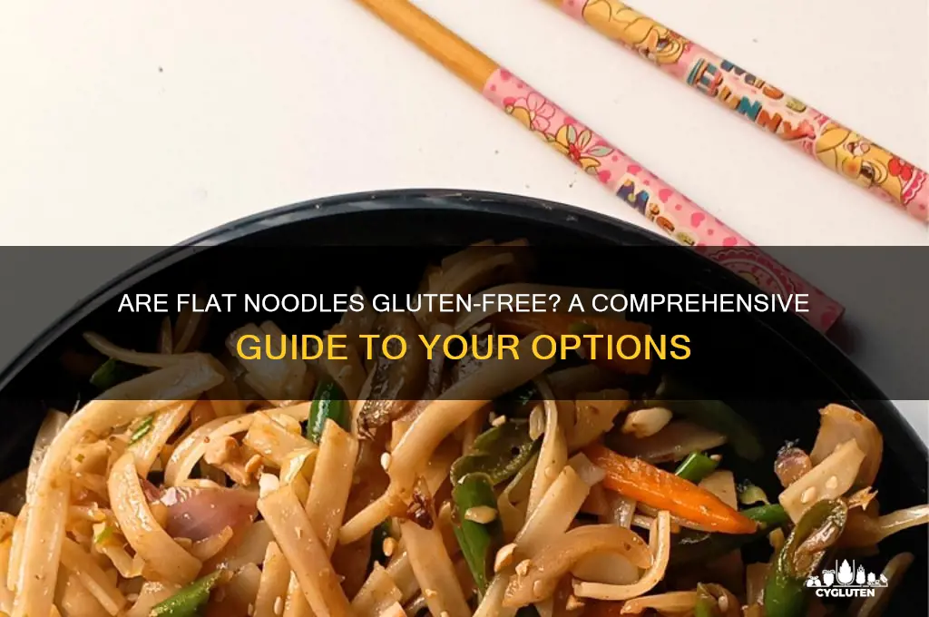 is flat noodle gluten free