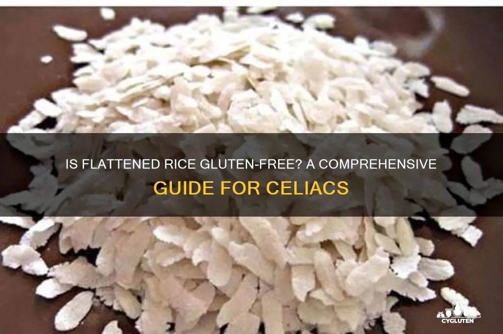 is flattened rice gluten free