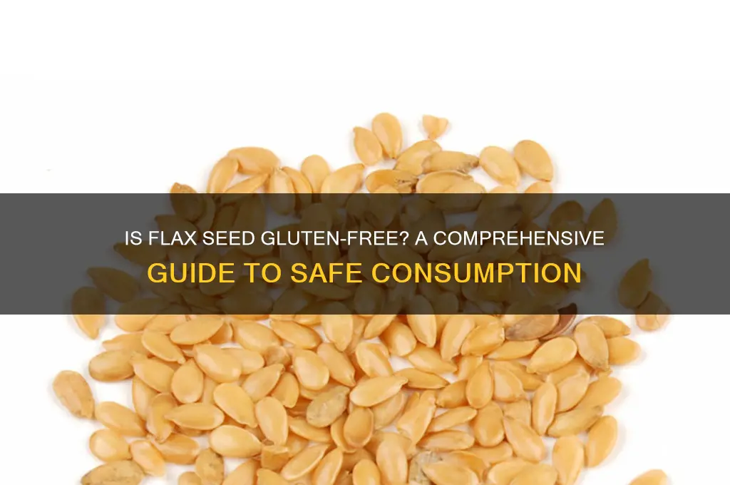is flax seed gluten free