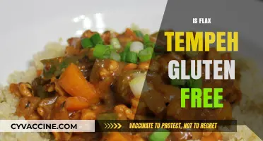 Is Flax Tempeh Gluten-Free? A Complete Guide to Your Diet