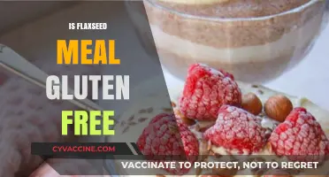 Is Flaxseed Meal Gluten-Free? A Complete Guide for Healthy Eating