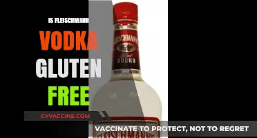Is Fleischmann Vodka Gluten-Free? A Detailed Guide for Drinkers