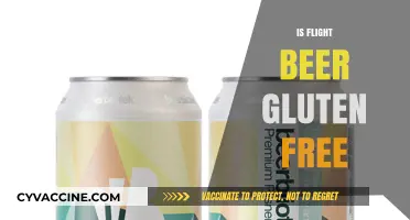 Is Flight Beer Gluten-Free? Exploring Celiac-Safe Craft Beer Options