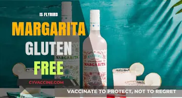 Is Flybird Margarita Gluten-Free? A Complete Guide for Drinkers