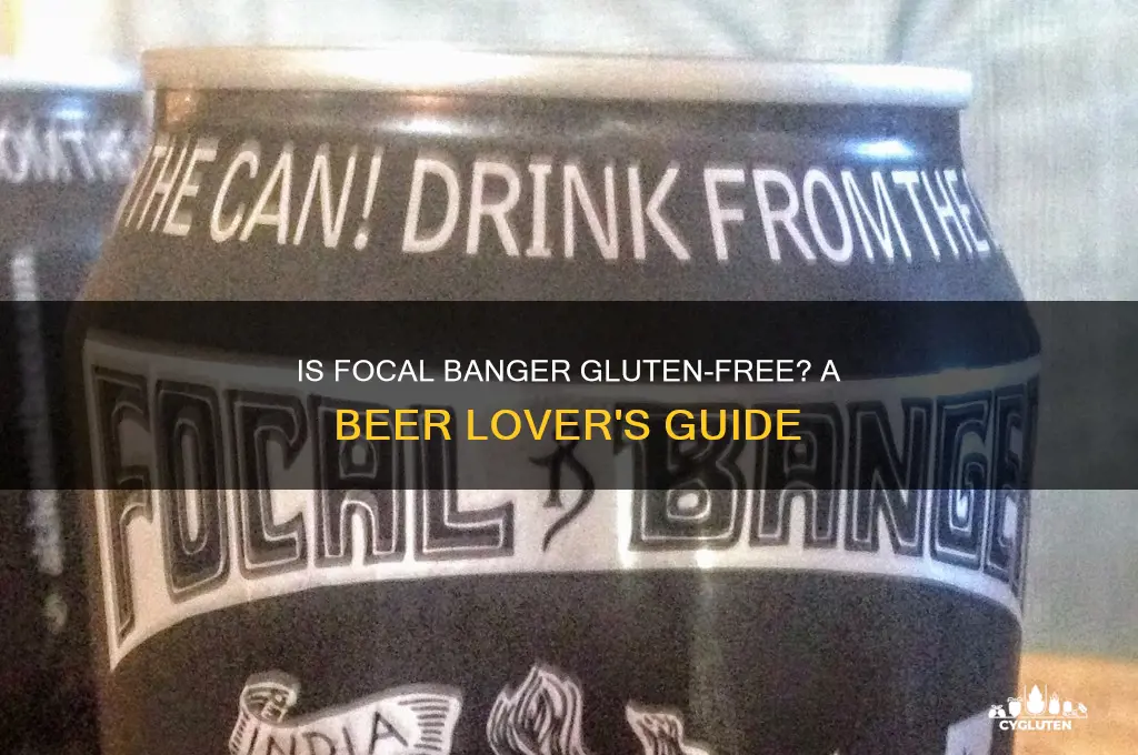 is focal banger gluten free