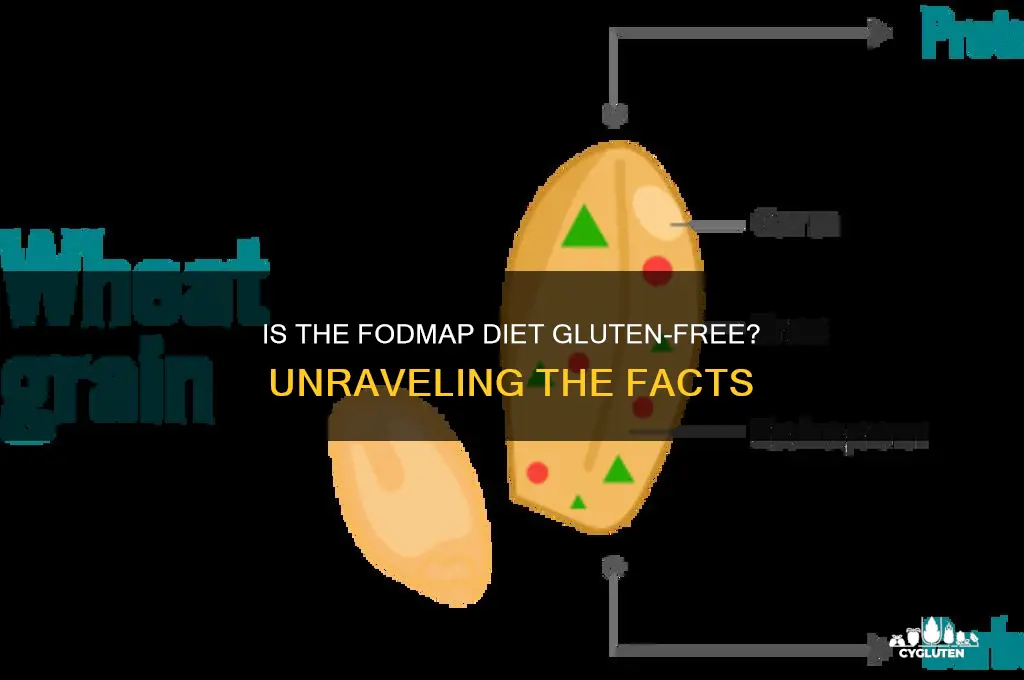 is fodmap diet gluten free