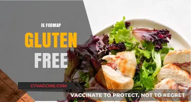 Is FODMAP Gluten-Free? Understanding the Dietary Connection