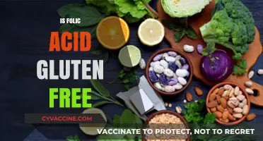 Is Folic Acid Gluten Free? Understanding Dietary Supplements and Celiac Safety