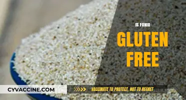Is Fonio Gluten-Free? Discover This Ancient Grain's Benefits