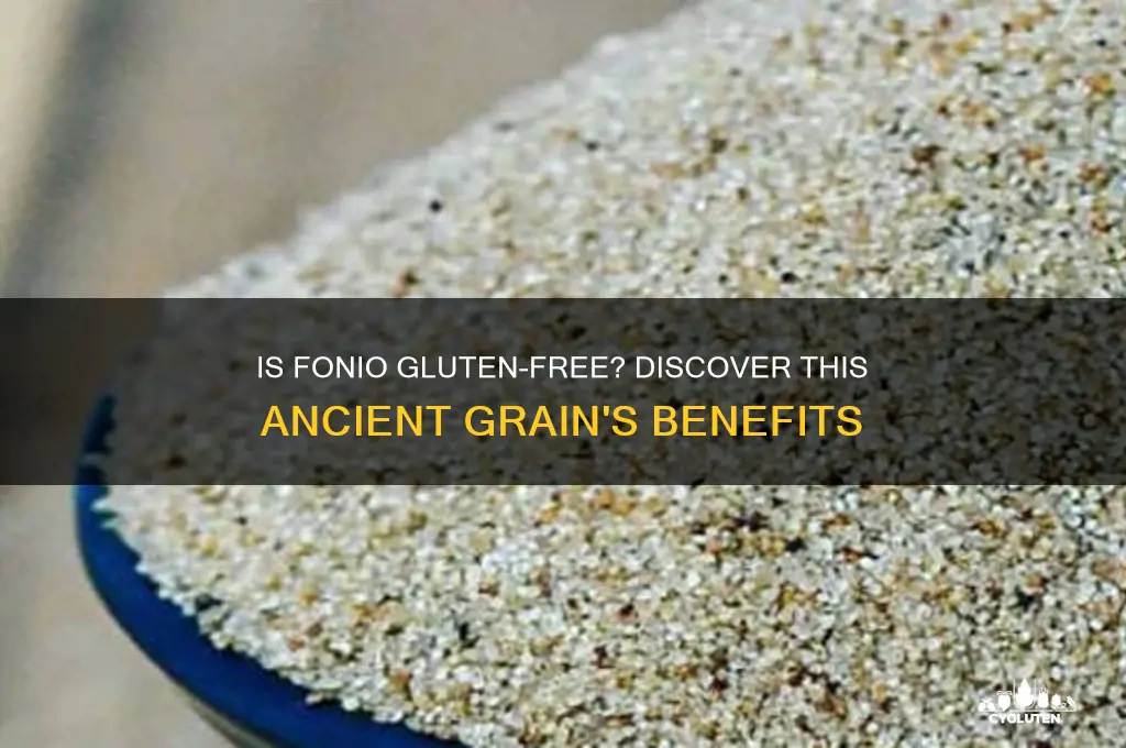 is fonio gluten free