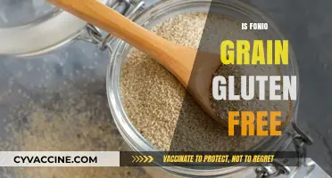 Is Fonio Grain Gluten-Free? A Complete Guide to This Ancient Superfood